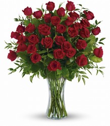 Breathtaking Beauty - 3 Doz Red Roses from Swindler and Sons Florists in Wilmington, OH